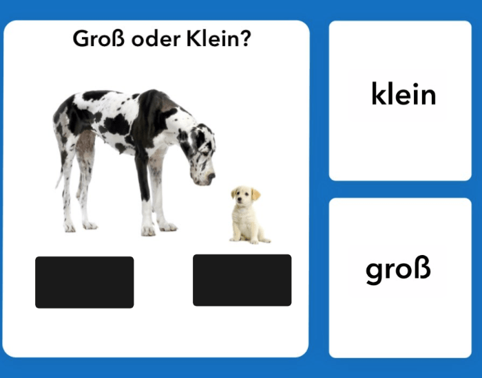 German Adjectives Quiz